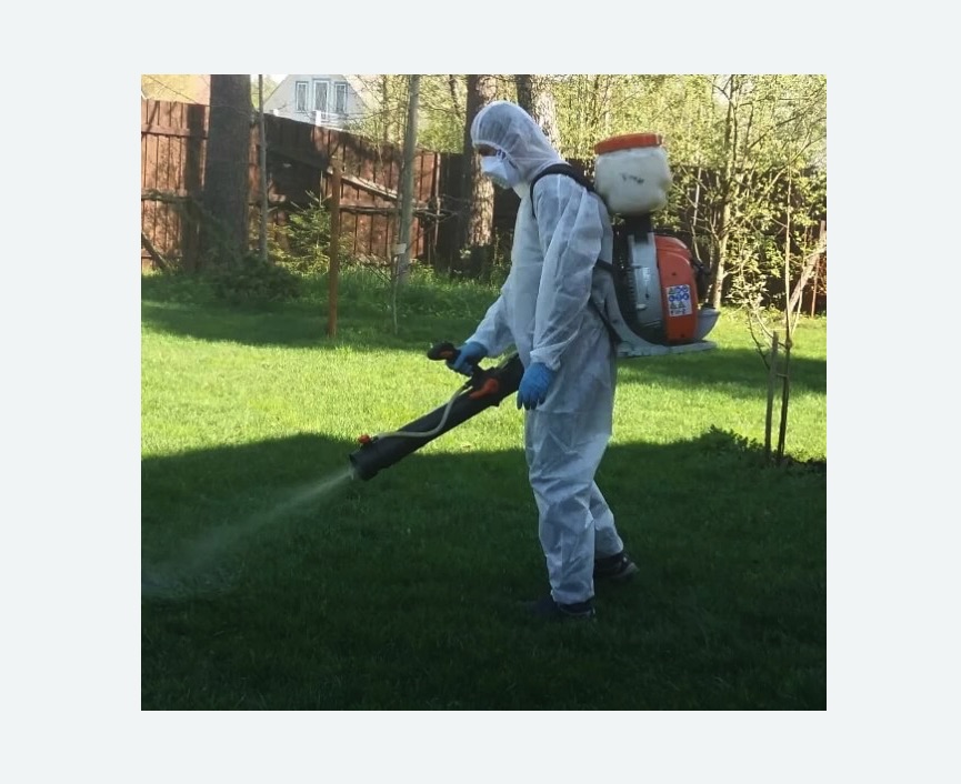 Обработка территории от клещей в Дорохово