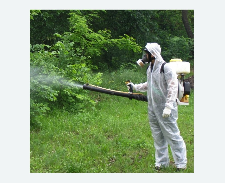 обработка территории от клещей в Дорохово