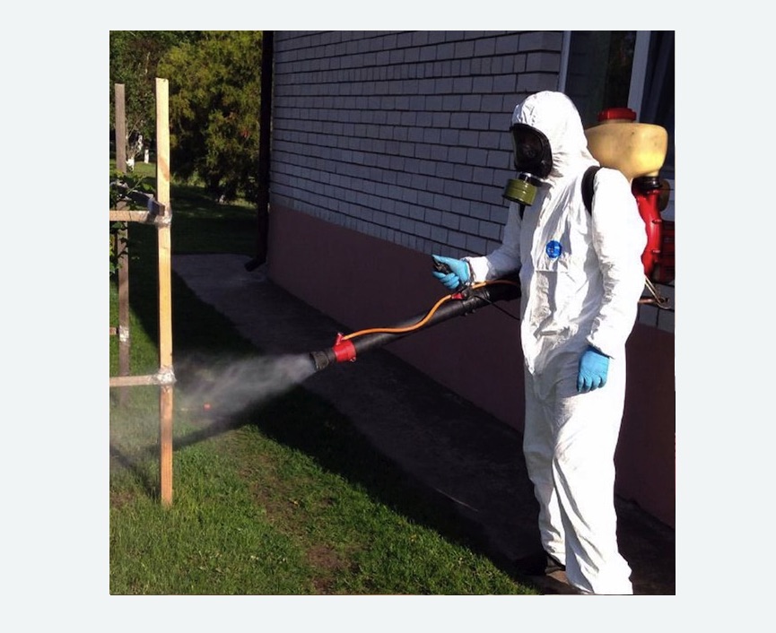 травля клещей на участке в Дорохово