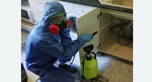 Уничтожение муравьев в квартире. Дорохово