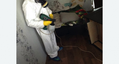 Обработка квартир от насекомых в Дорохово