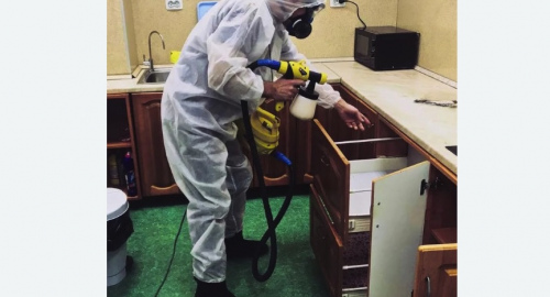 Дезинсекция квартиры. Дорохово