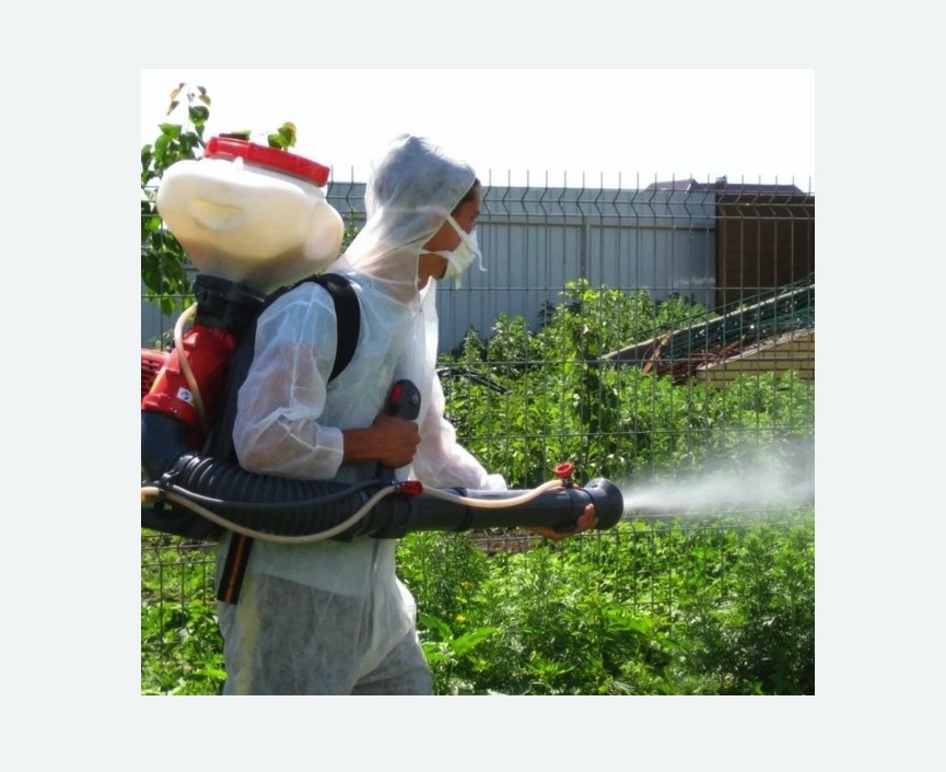 Акарицидная обработка территории в Дорохово