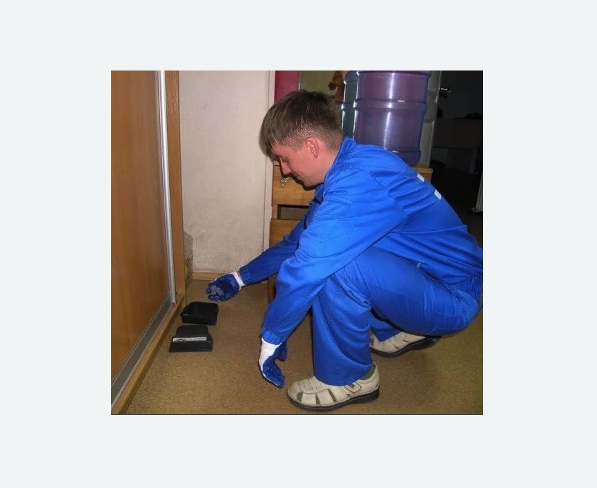 Дератизация крыс в Дорохово