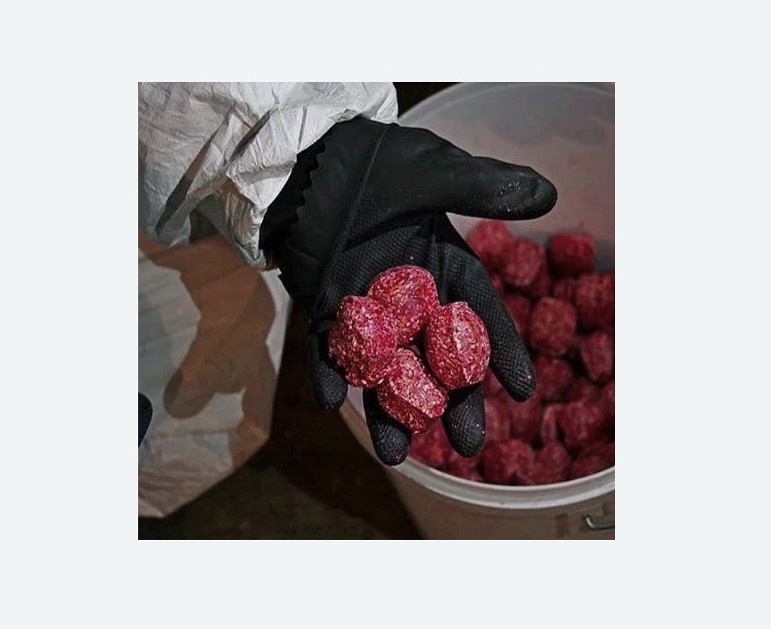 Обработка от крыс в Дорохово