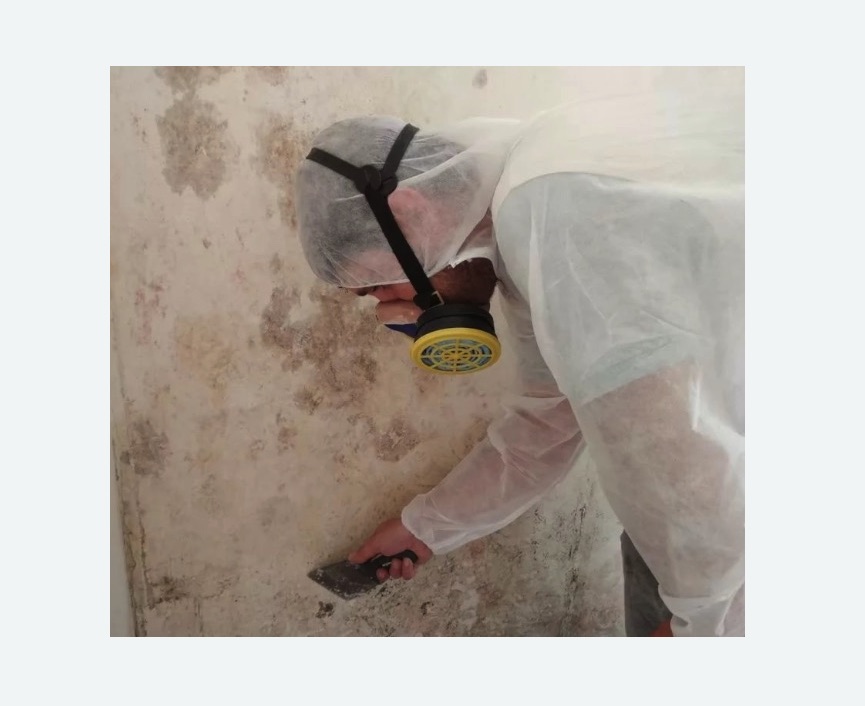 Обработка стен от плесени в Дорохово