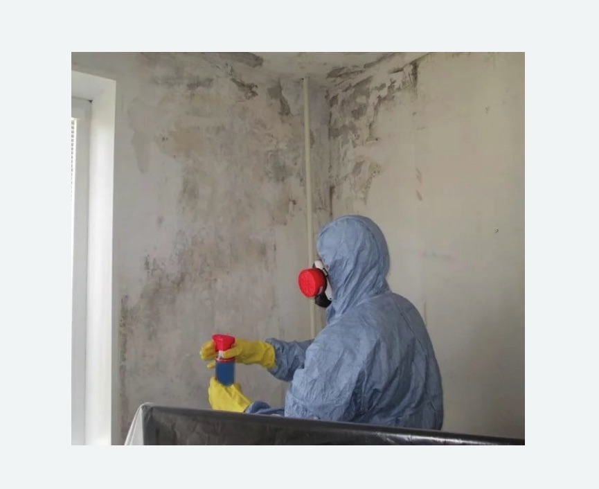 Удаление плесени в квартире в Дорохово