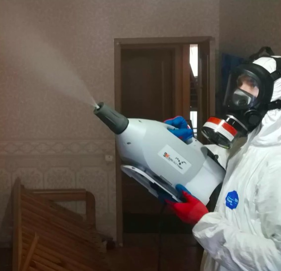 дезинсекция помещения в Дорохово