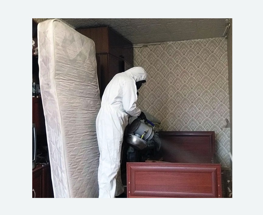 дезинфекция от клопов в Дорохово