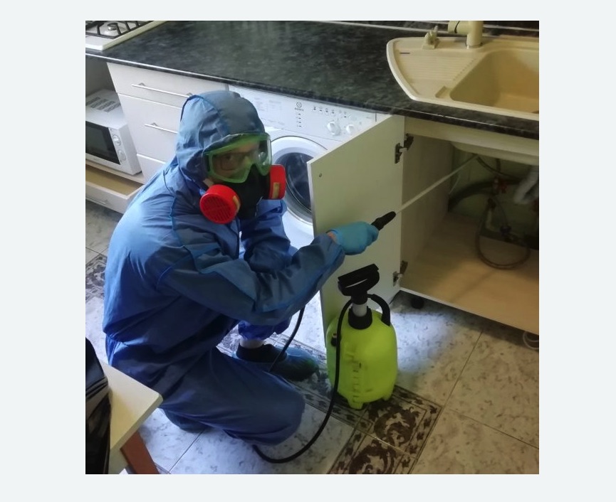 обработка от муравьев в квартире в Дорохово