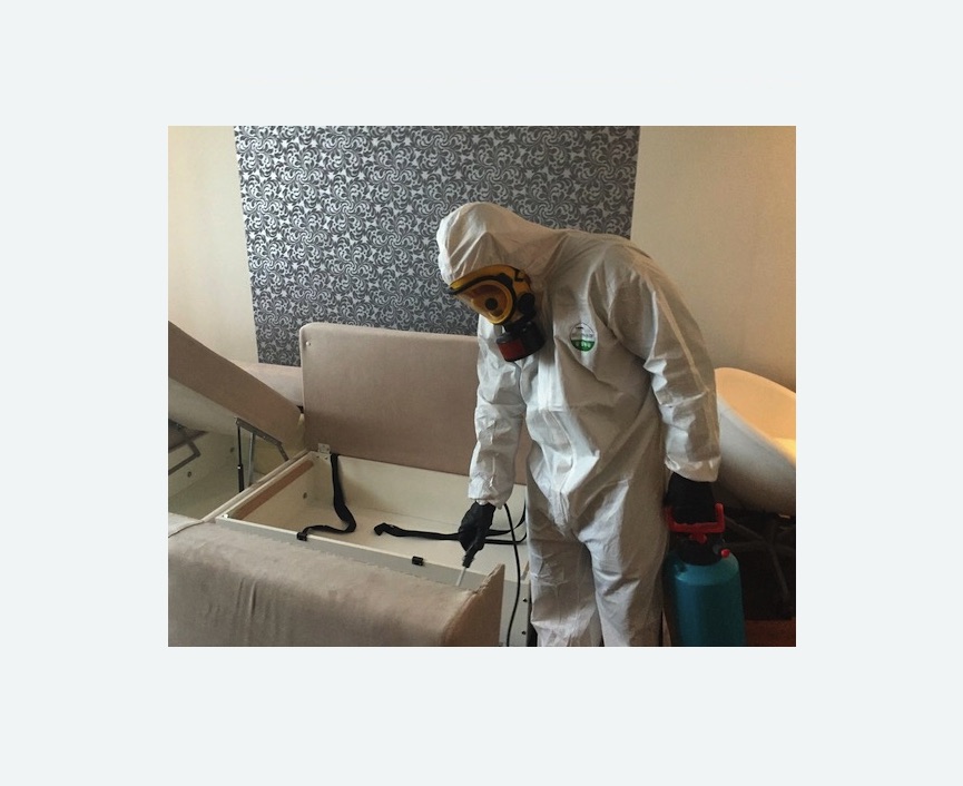 уничтожение клопов в квартире в Дорохово