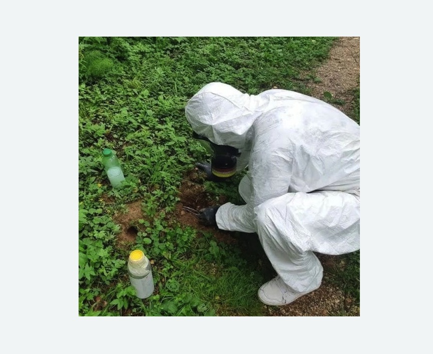 уничтожение кротов на участке в Дорохово