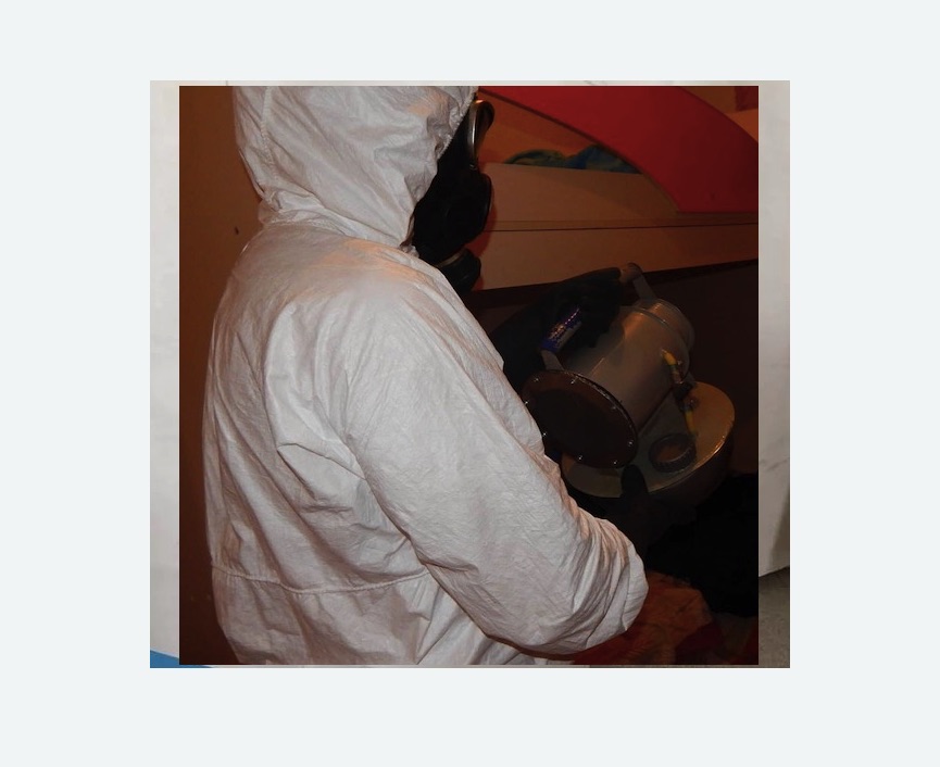 Дезинфекция от муравьев в Дорохово