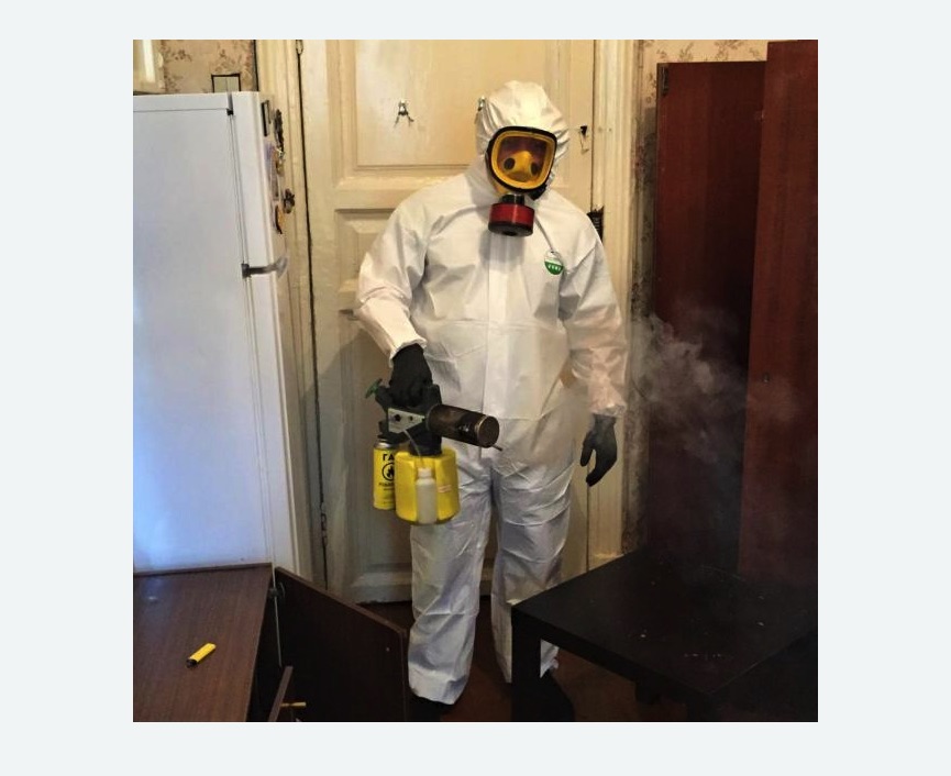 уничтожение муравьев в квартире в Дорохово